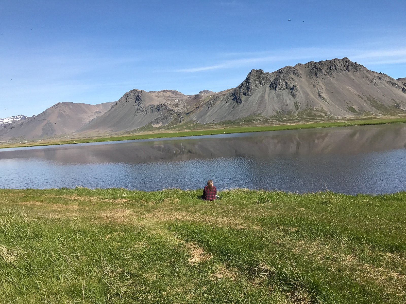 Scratching The Twitch: Birdwatching In Iceland