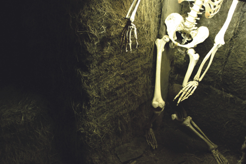 Draugasetrið: Ghosts And Goblins And Trolls, Oh My!