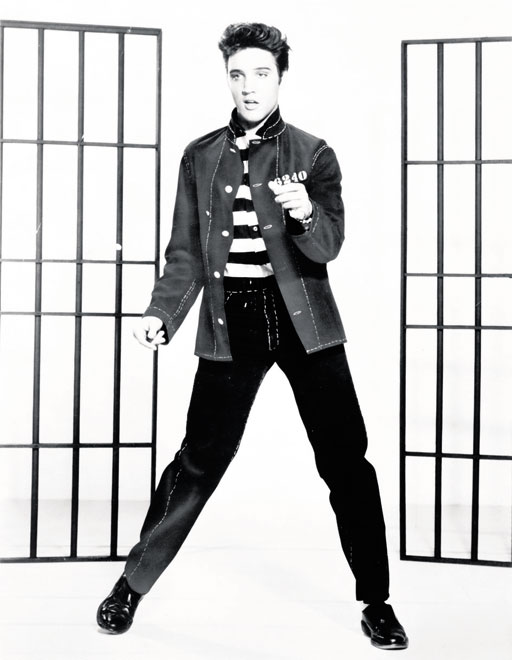 “Elvis Was a Hero to Most…