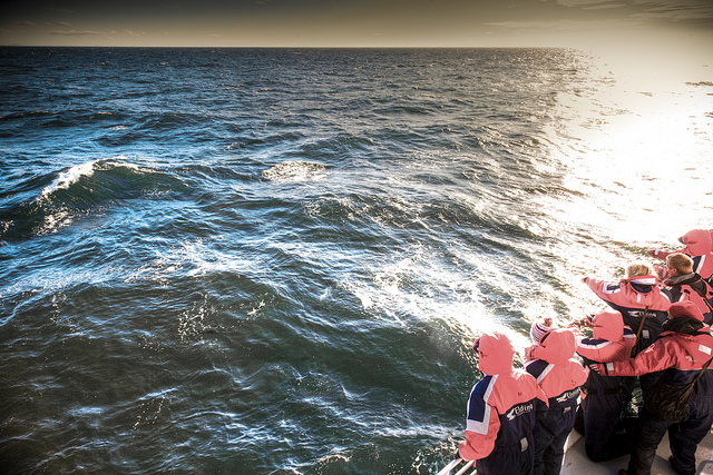 Whale Watching Numbers Rise