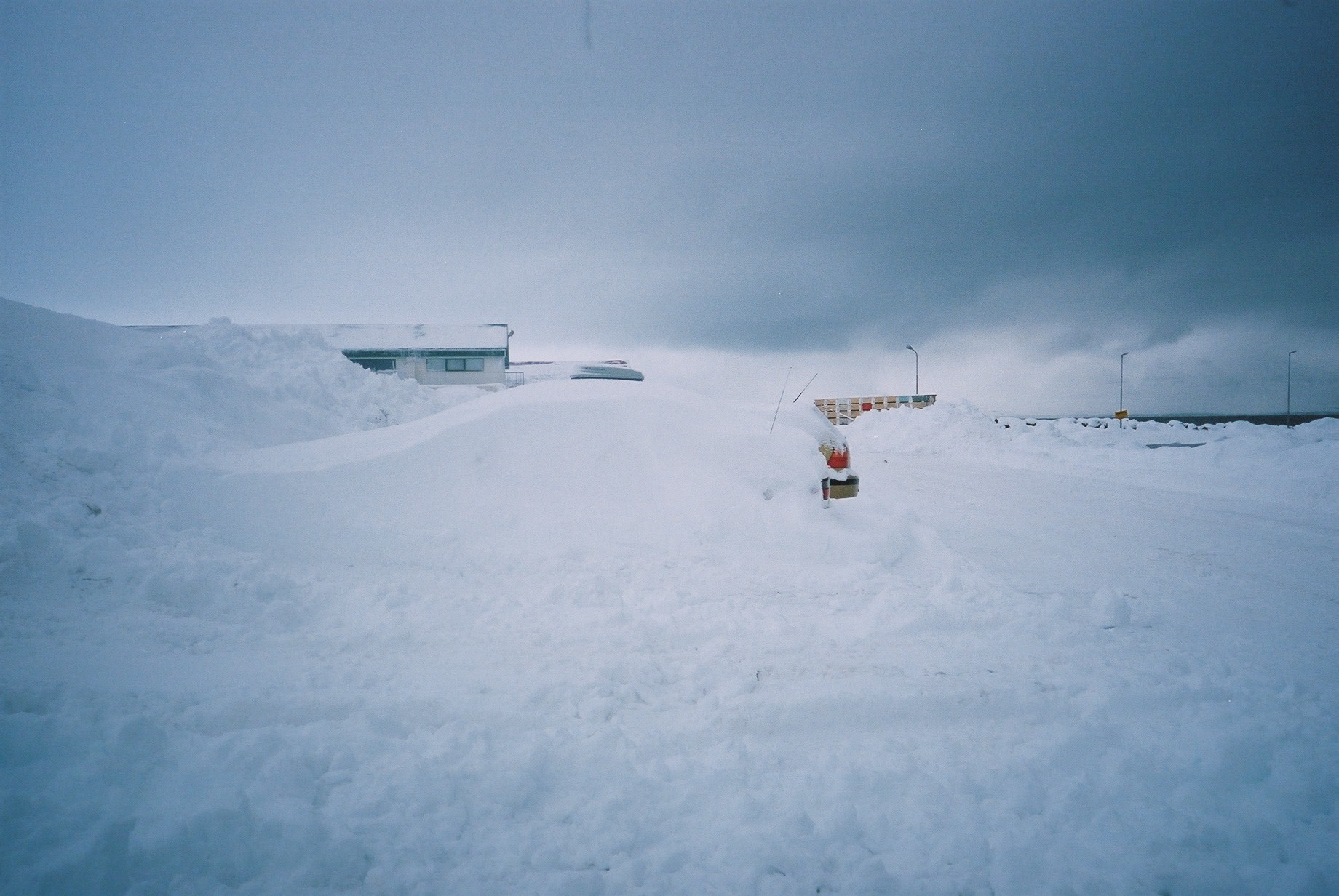 Winter Wonderland