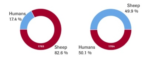 Sheep Ahoy!