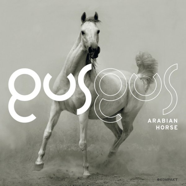 TRACK OF ISSUE – GUSGUS ARABIAN: HORSE SAMPLER