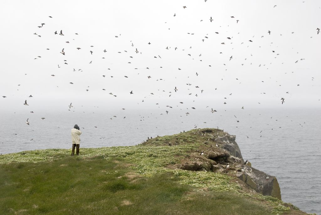 German Man’s Wish To Be Buried In Iceland Granted