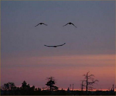 Iceland Named Third Happiest Nation