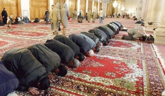 Former Muslim Society Chair: Mosque Poll “Pointless”