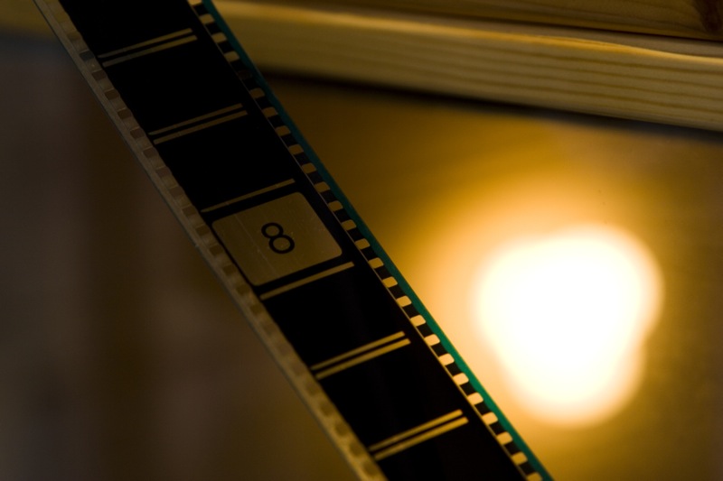 Your Post-Collapse Guide to the Movies