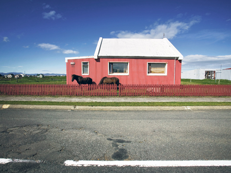 A Great Place for Lobster, Ghosts, Giraffes and Friends of Foo