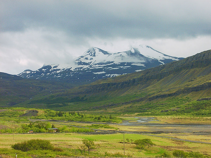 Outside Reykjavík: A Whaling Station and a WWII Base