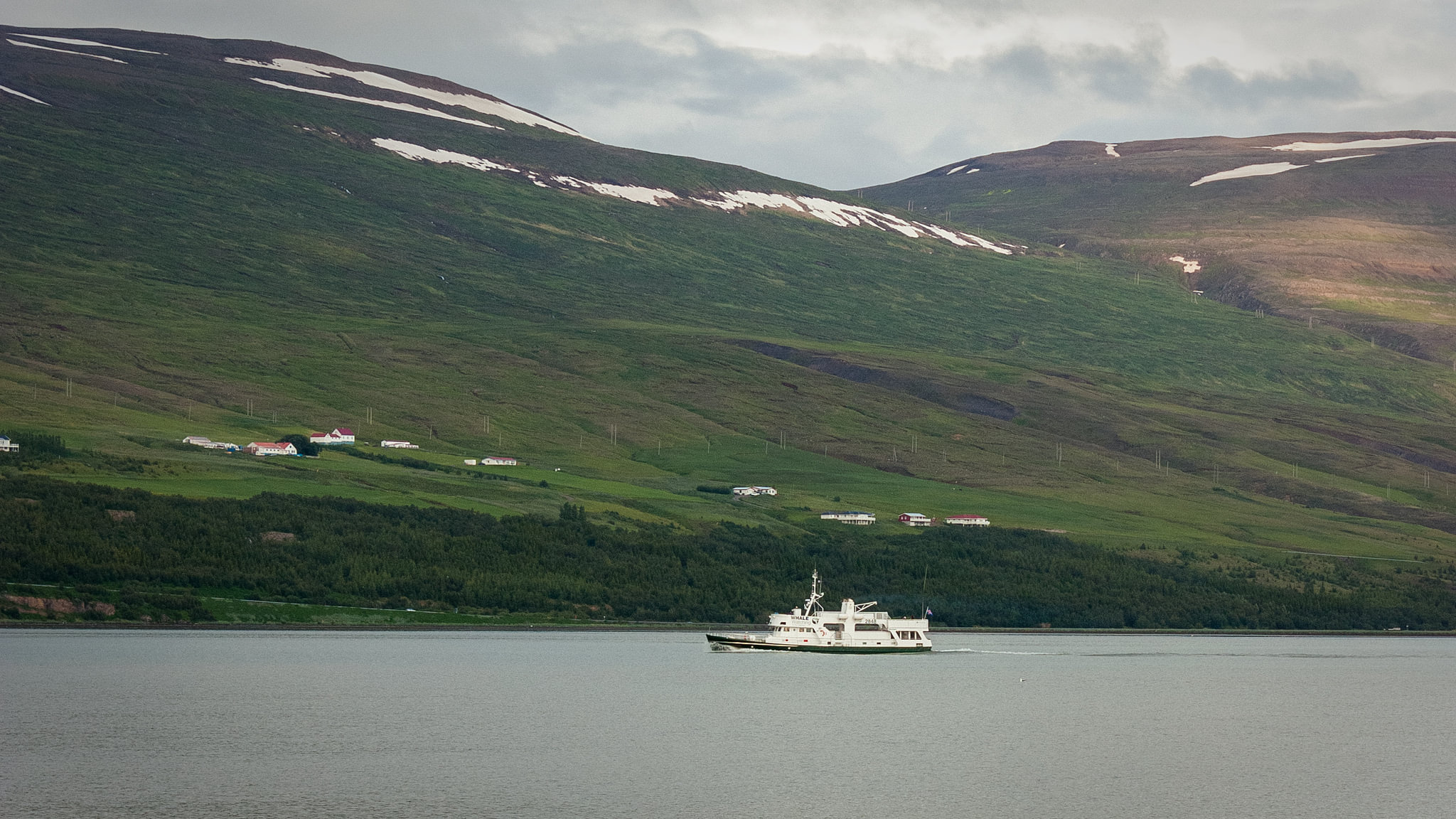 9th Century Viking Sword Found In North Iceland