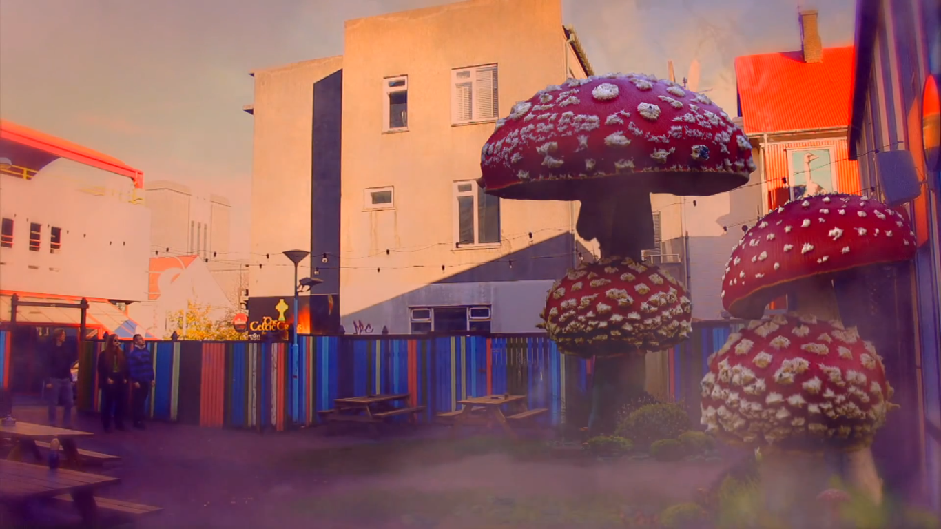 VIDEO: The Vintage Caravan’s New Music Video