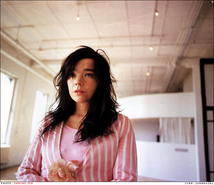 Björk Answers Ross Beaty: We Shouldn’t Complete This Deal
