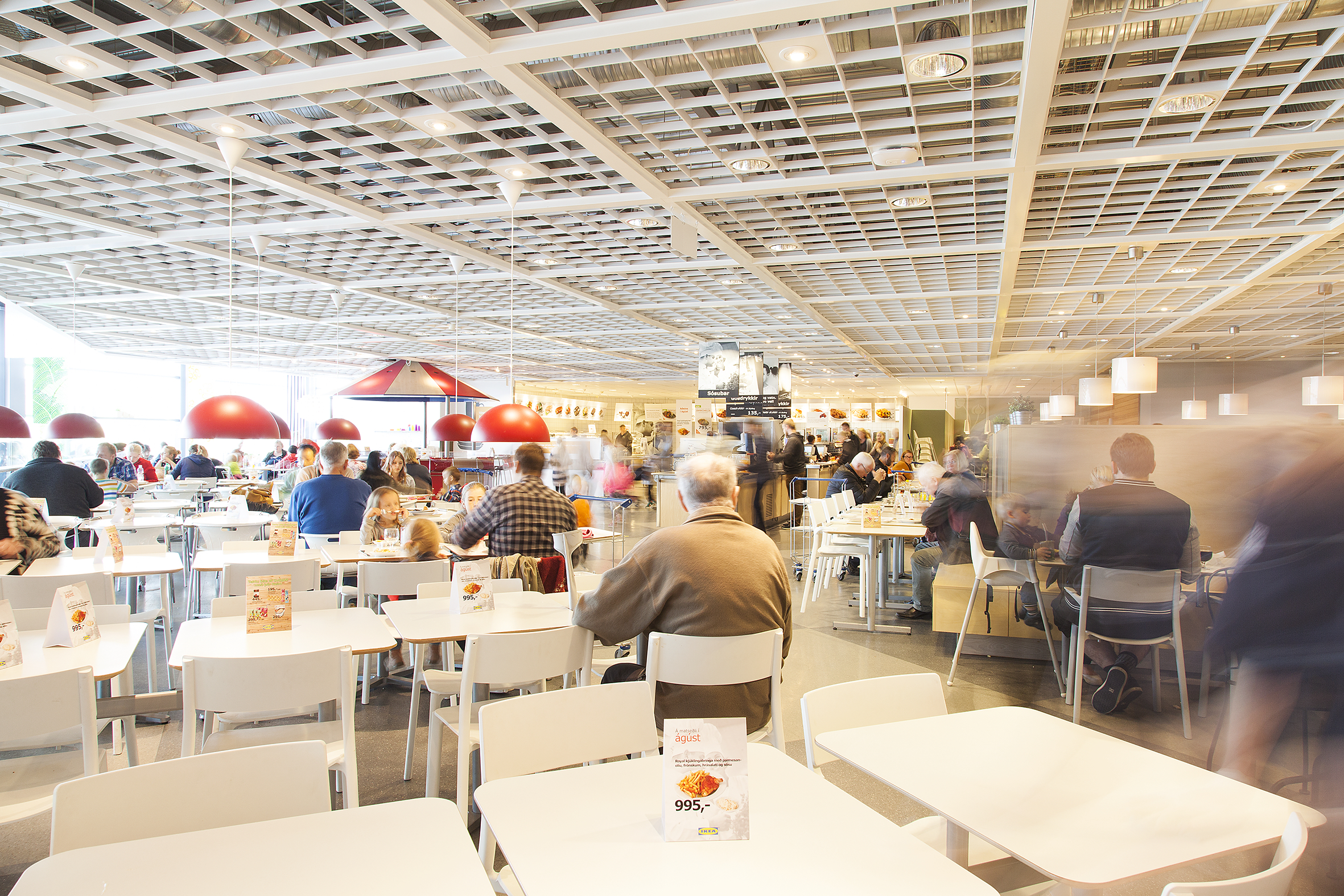 Food Review: Iceland’s Most Popular Restaurant