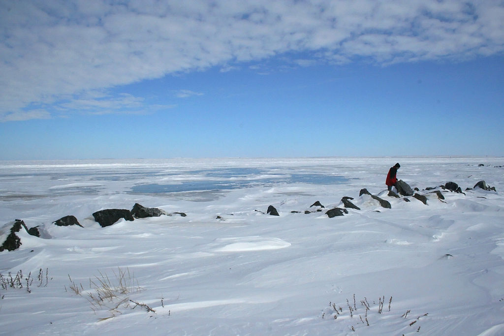 Arctic Circle Conference This Month