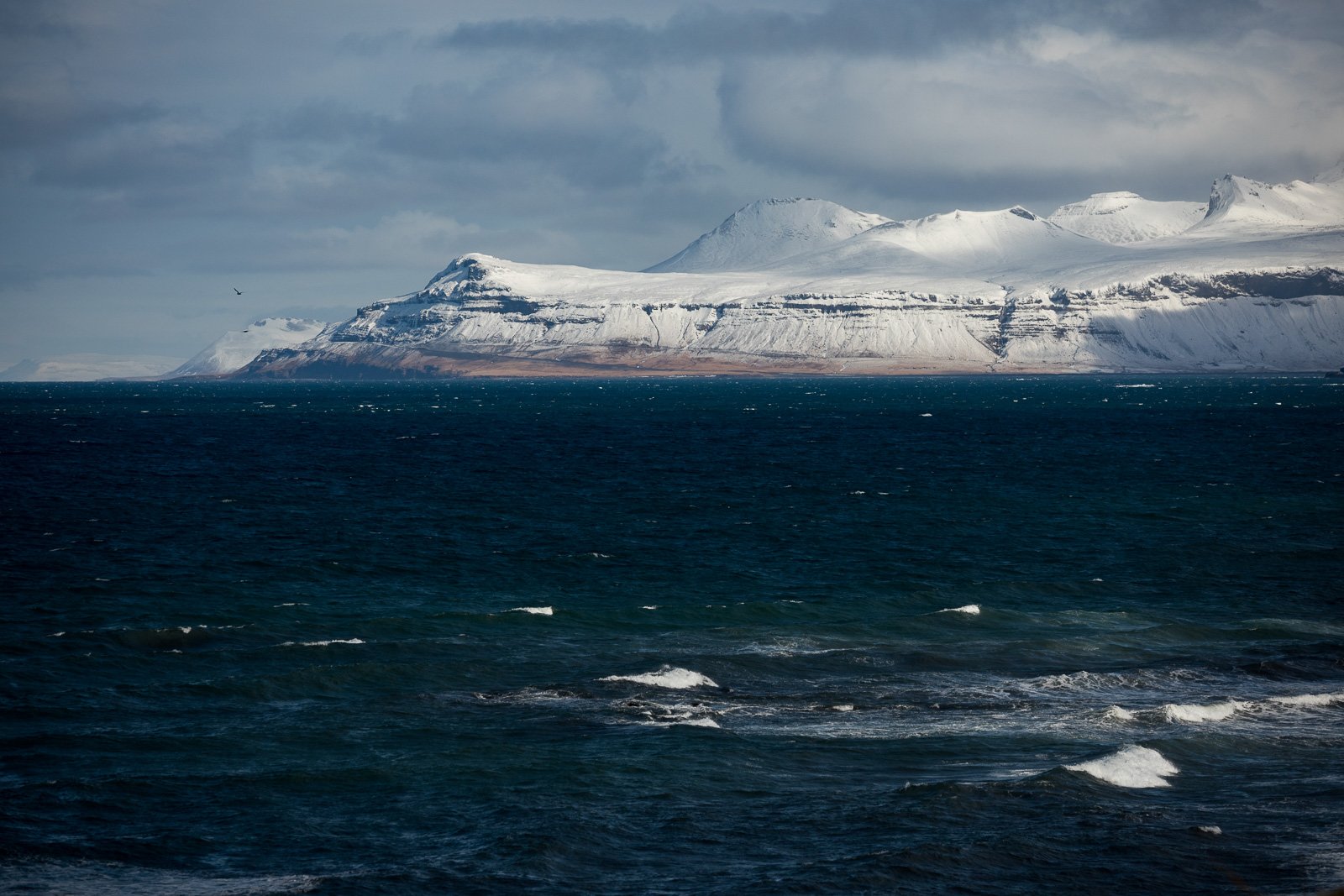 A Human Bone Found In Snæfellsnes