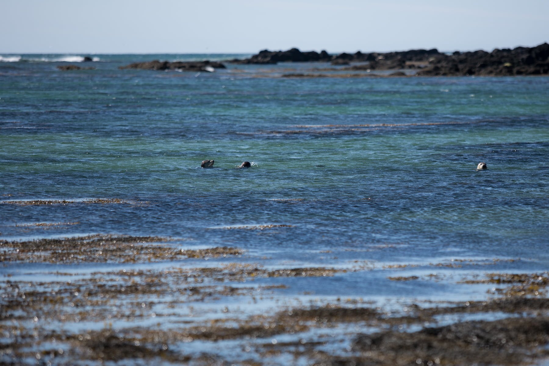 Message In Bottle From Iceland Found After 11 Years