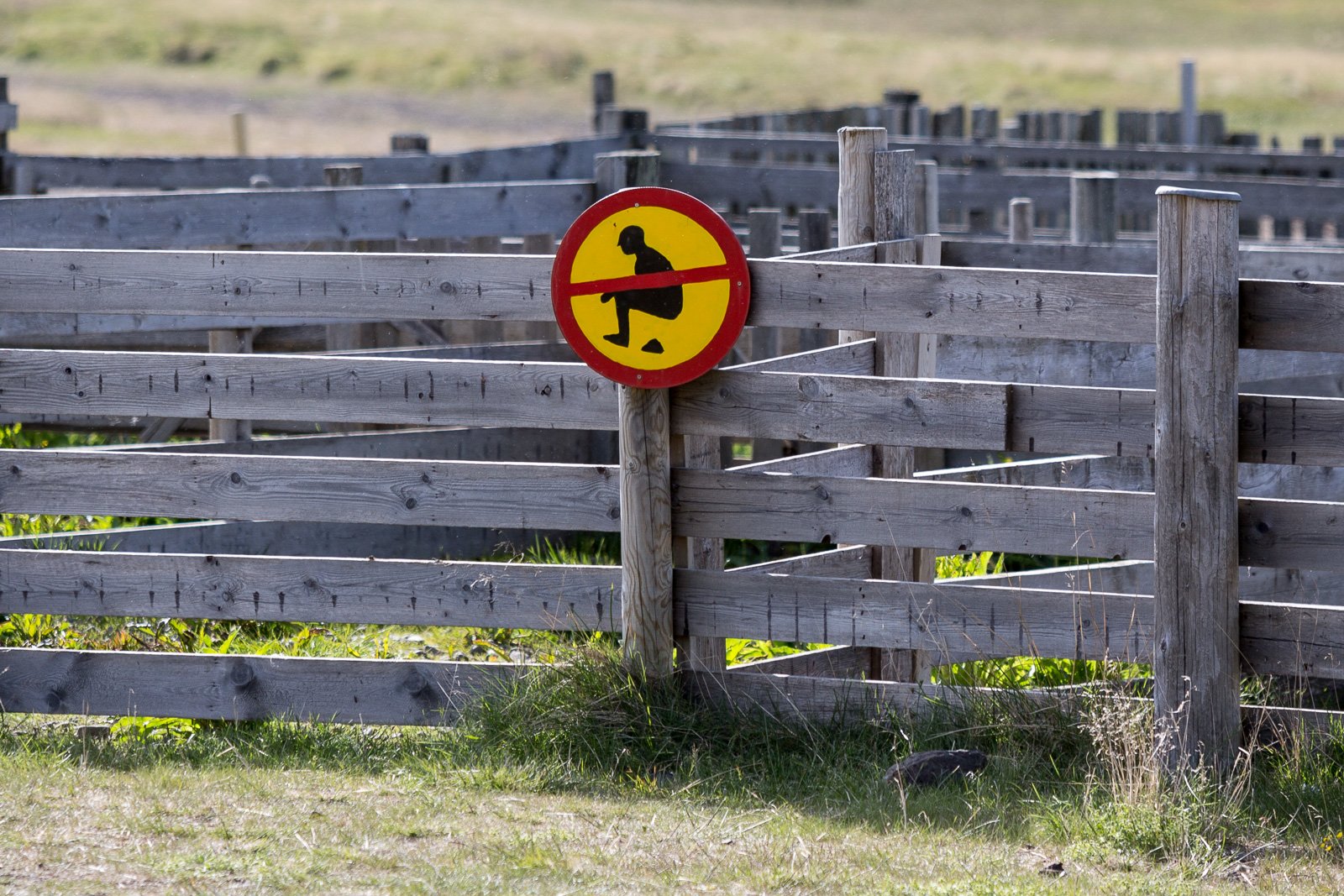 Tourist Numbers Overwhelm Septic System In Vík