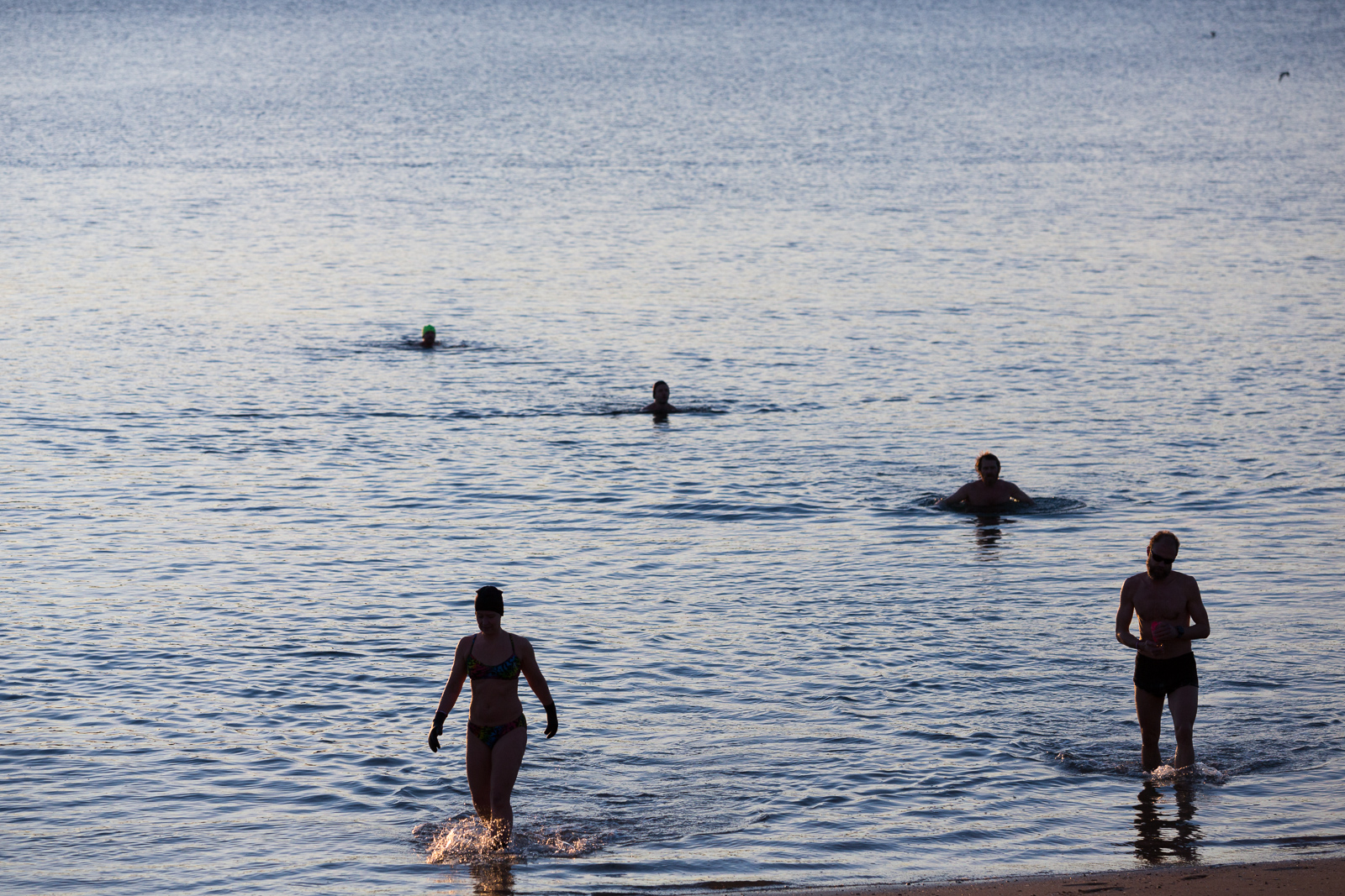 Memoirs Of A Spring Breaker, Or How To Catch Feelings For Reykjavík