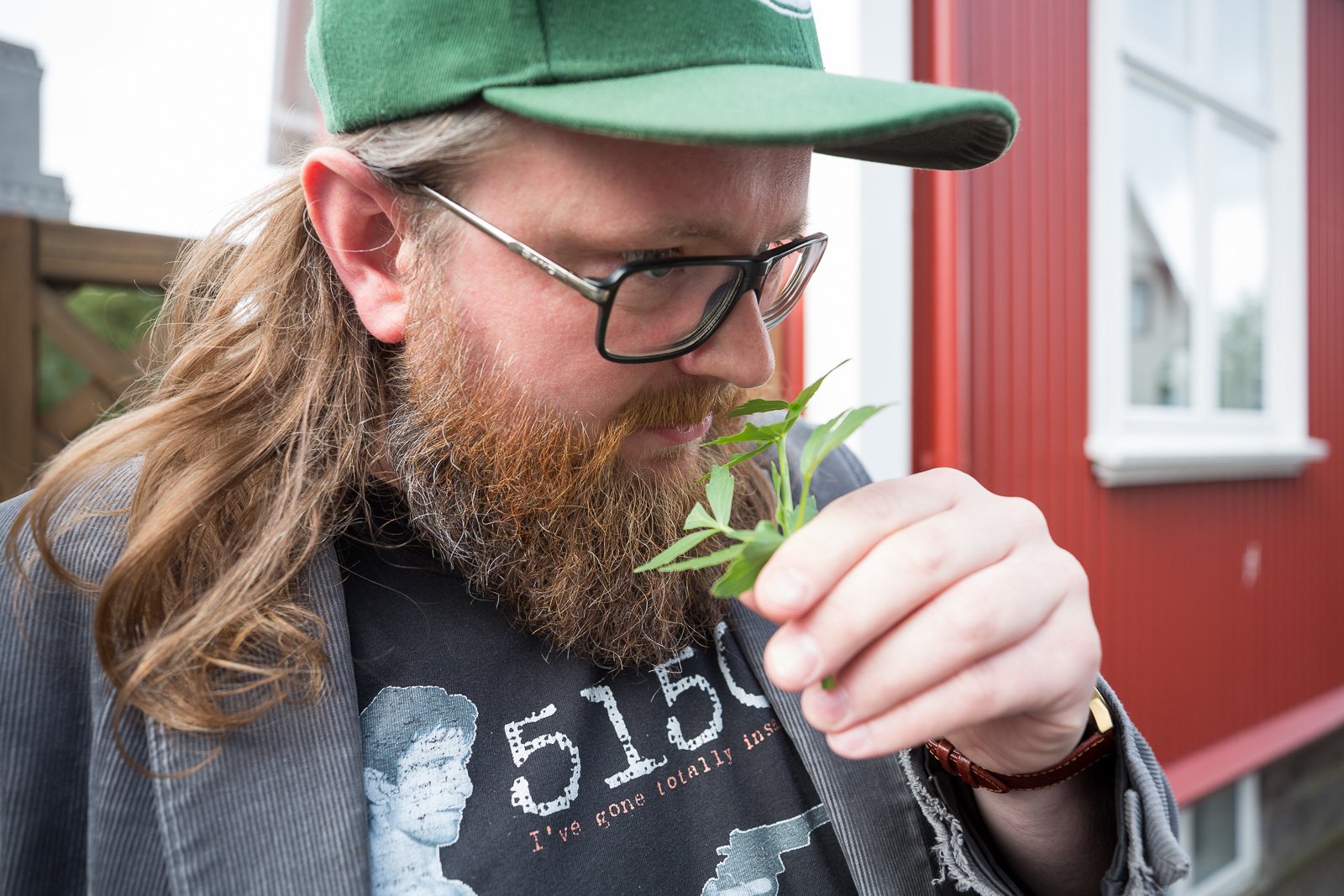 Iceland’s Food Revolution: Foraging, Feasting, And Reinventing The Past
