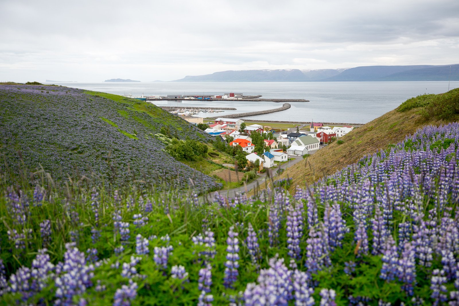 Sauðárkrókur