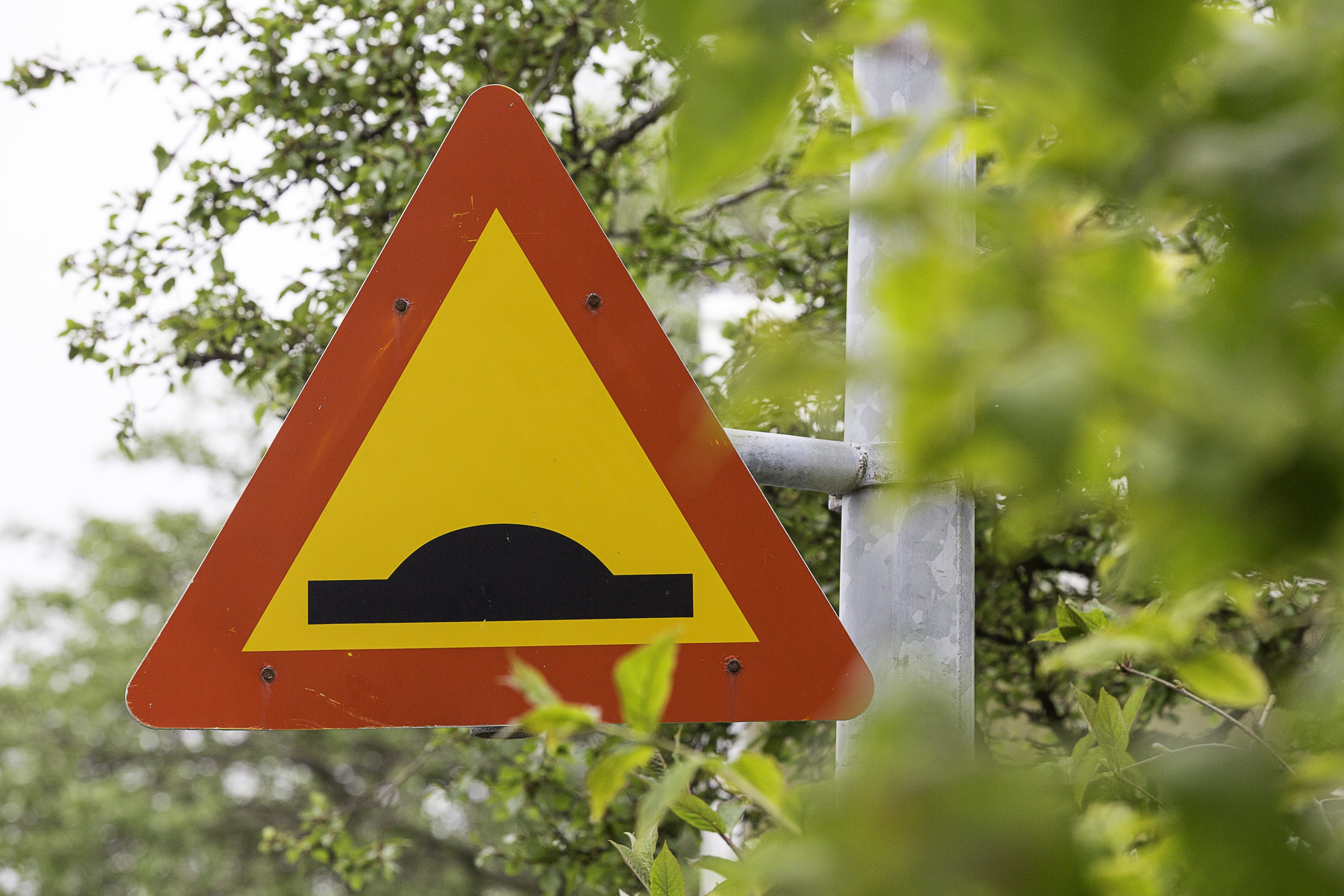 Speed Bumps For Your Safety
