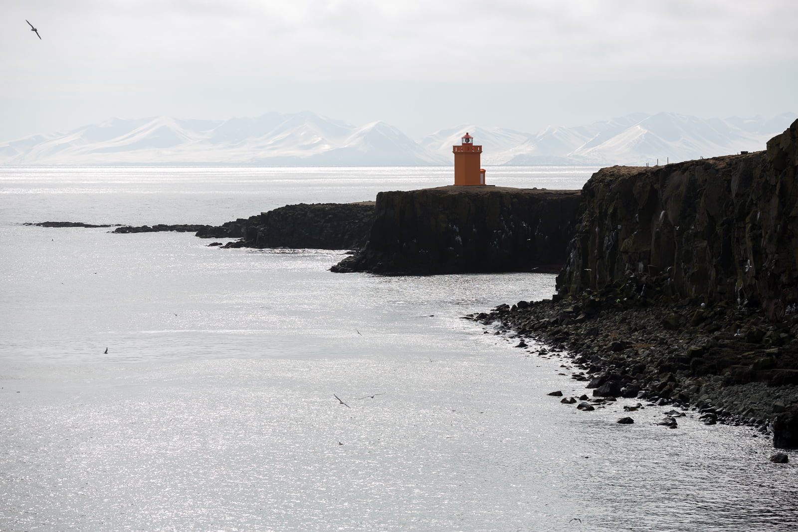 Living On The Edge: A Trip To Grímsey, Iceland’s Arctic Island