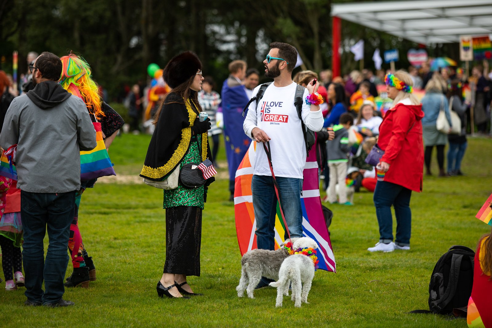 Tourists Face Fines For Illegally Importing Dogs Into Iceland