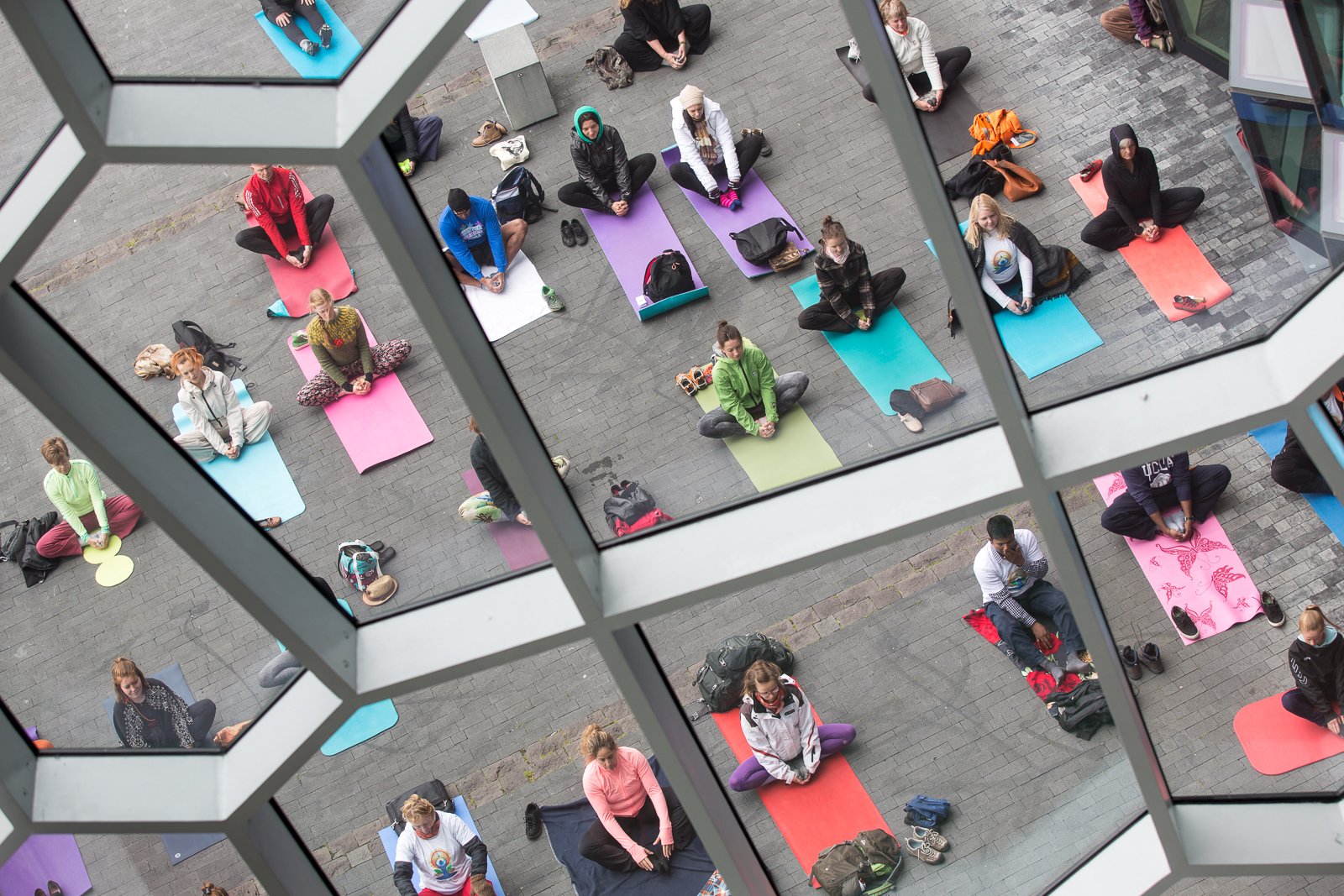 Grab Your Mat And Get In Position As We Celebrate The International Day Of Yoga