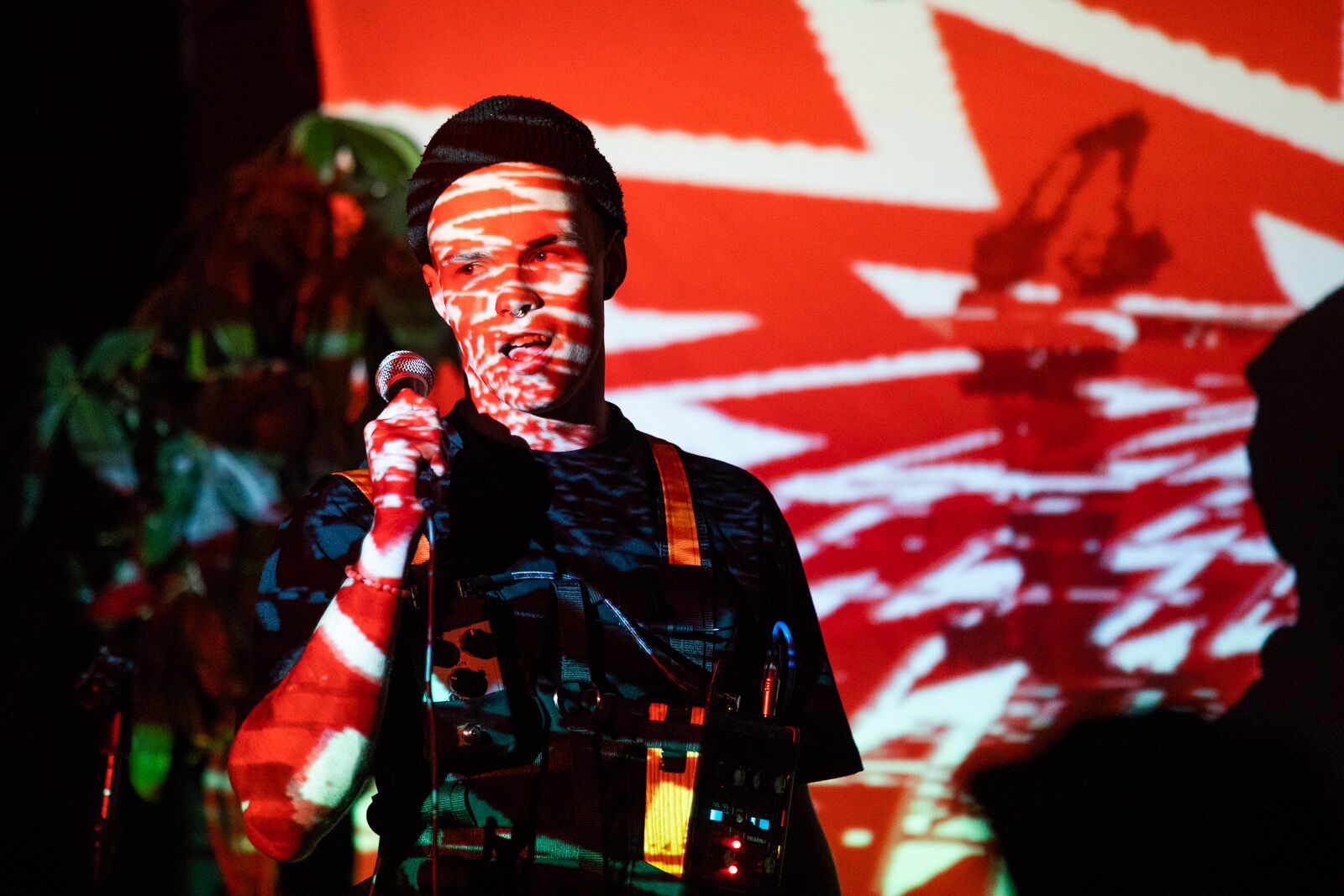 Grapevine Grassroots n° 6: Trippy, Brave & Fresh