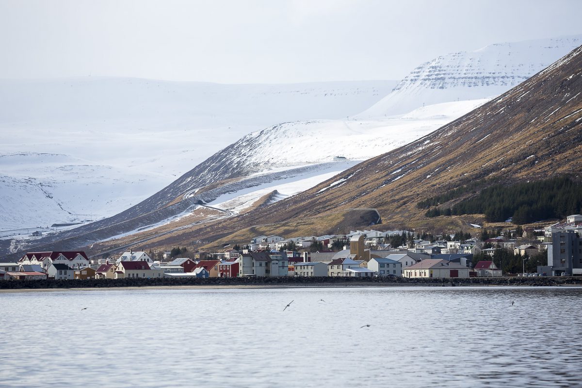 True Icelandic Crime Stores: The Grand Larceny That Shook Ísafjörður