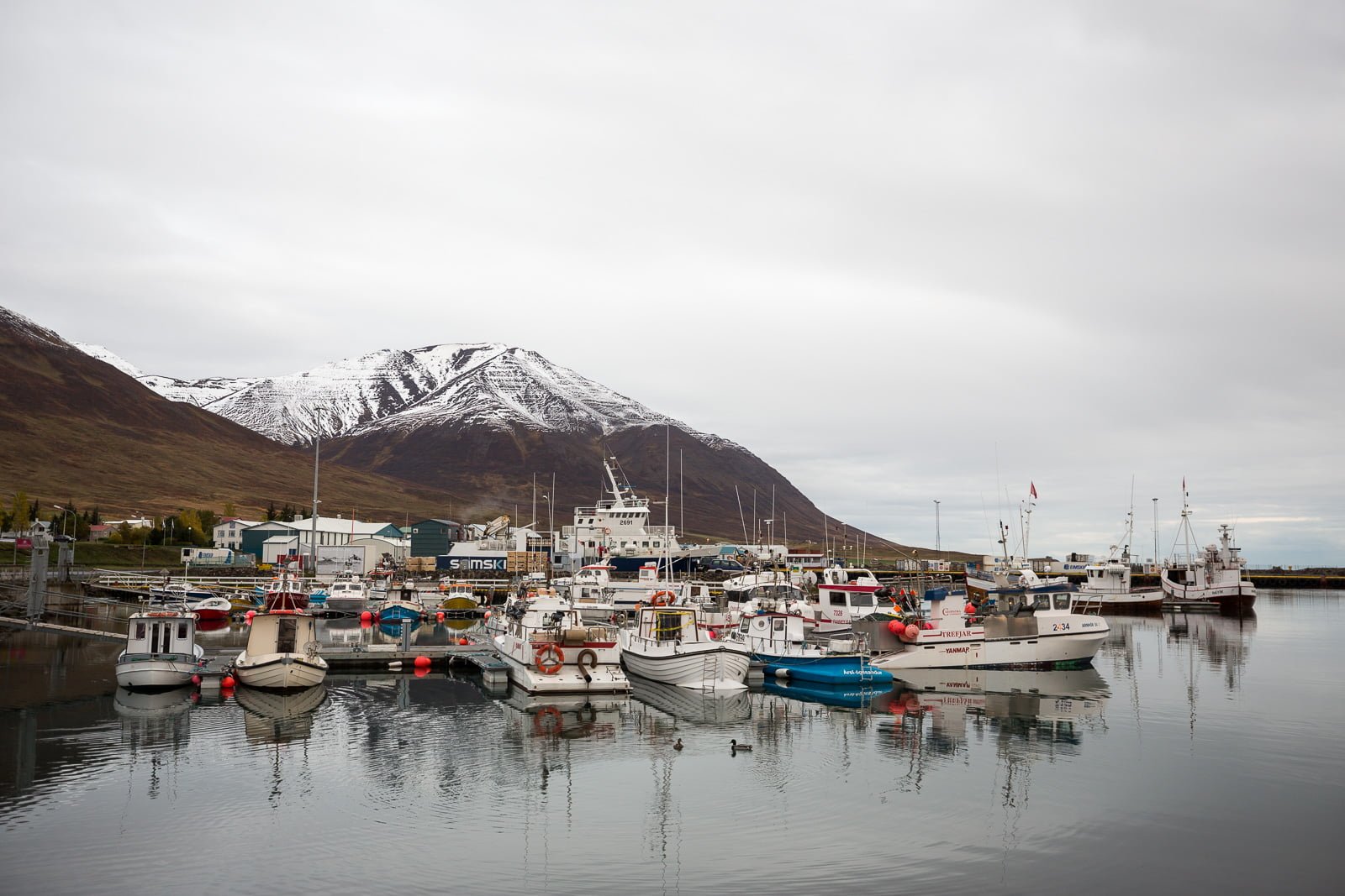 Dalvík Town Guide: Hiking, Heli-skiing & Bathing In Beer