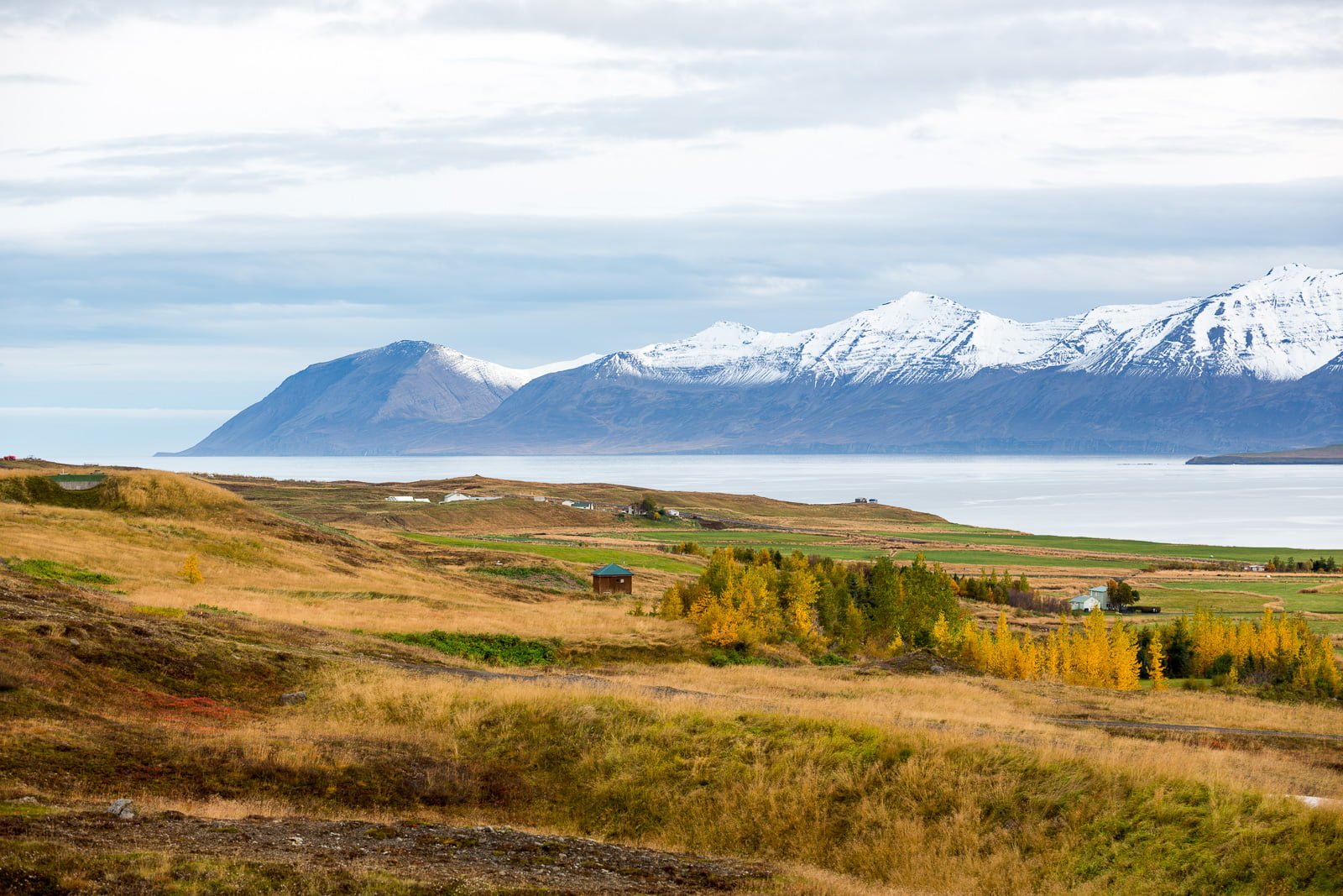 Dalvík