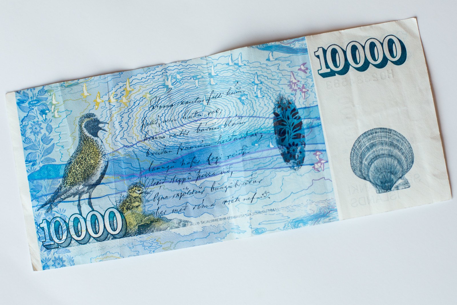 Iceland Proposes A Novel Solution To Tax Evasion