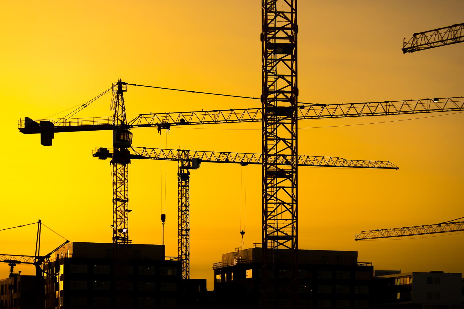 Life In Pictures: Metropolis Rising