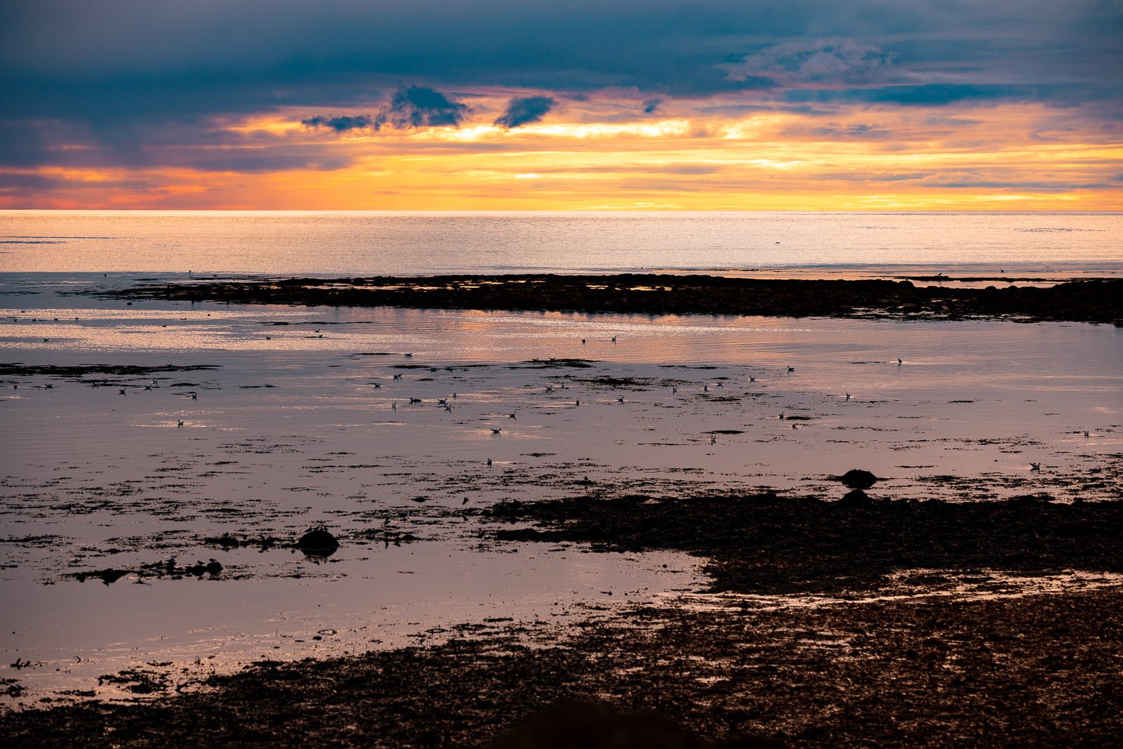 Town Guide: Stylish Cabins, Seafood, and Beautiful Coastline In Sandgerði