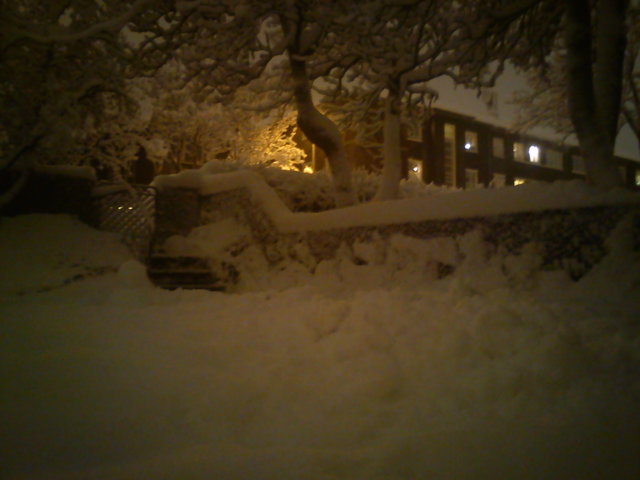 Snowpocalypse 2015: UPDATE