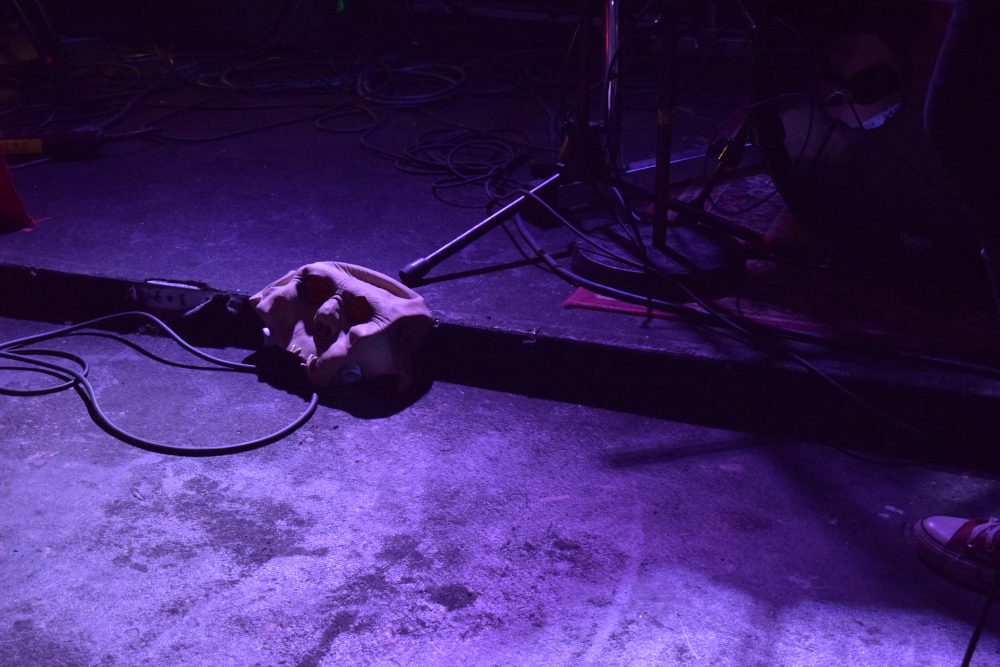 Sweat & Nostalgia: The Second Night Of Reykjavik’s Deathfest, A Love Letter