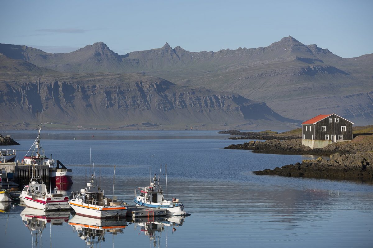Town Guide: Giant Eggs, Bones, Cake, And The Future In Djúpivogur