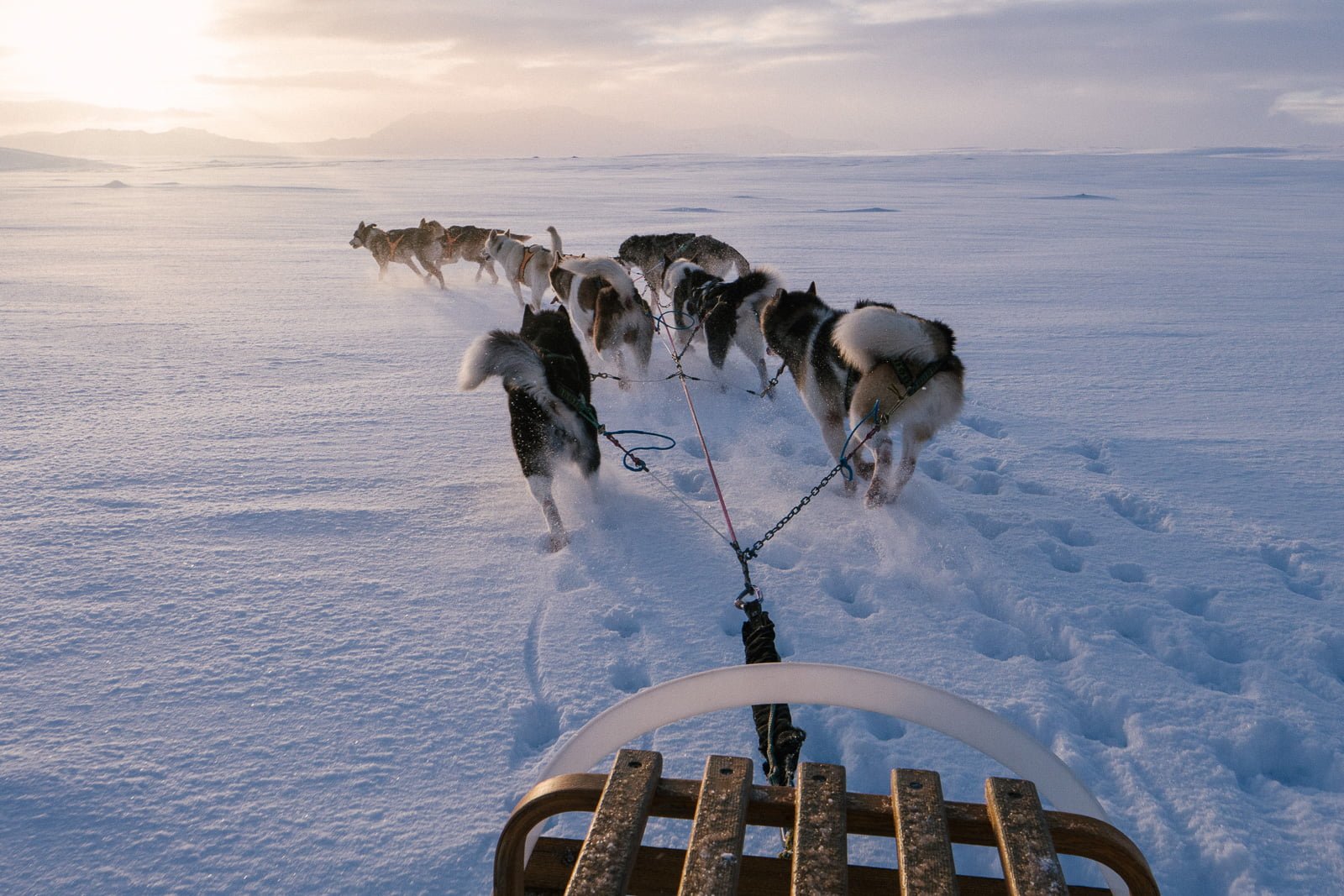 The Smooth White Sea: Dog Sledding In South Iceland