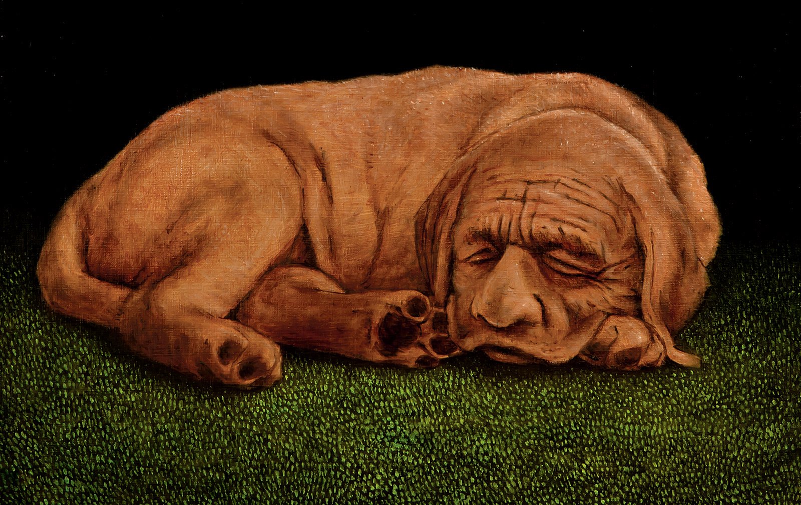 Monster Of The Month: Finngálkn – The Sphinx