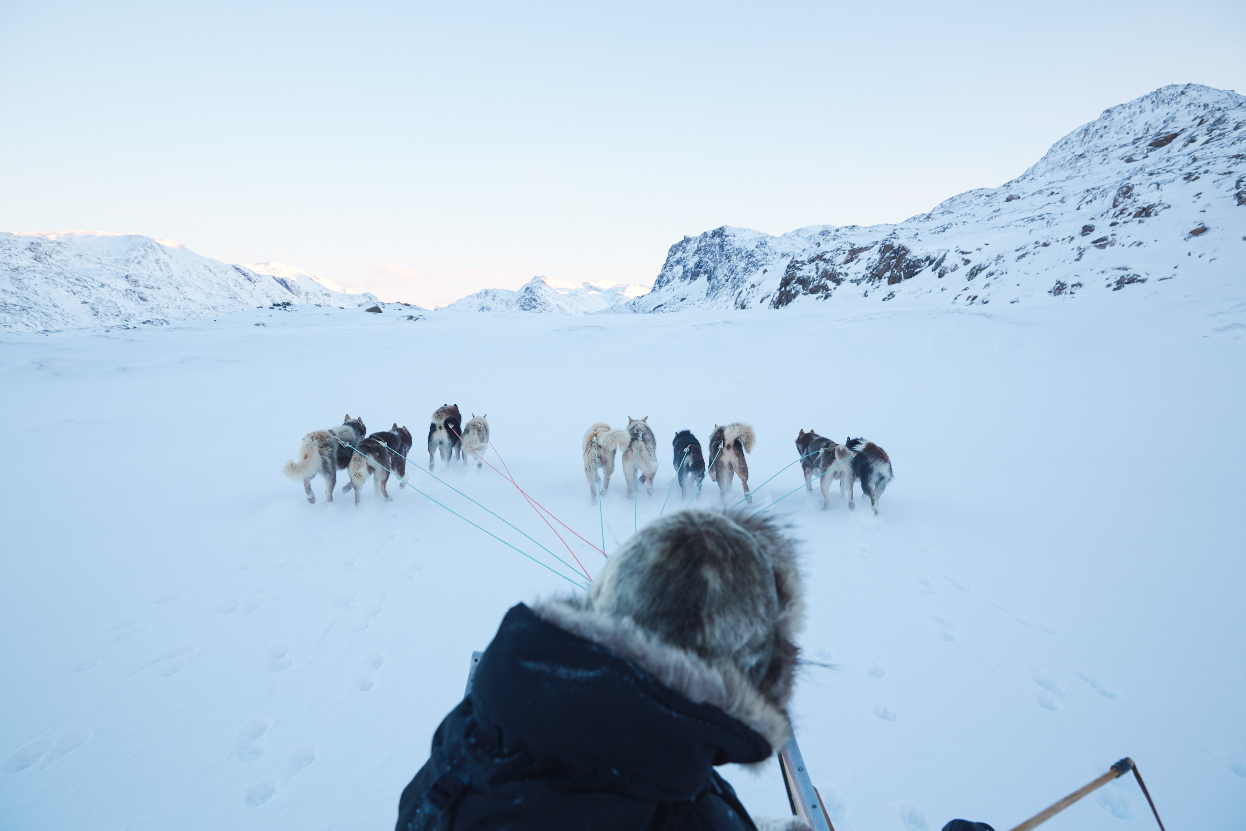 PHOTOS: Grapevine In Greenland – The Director’s Cut