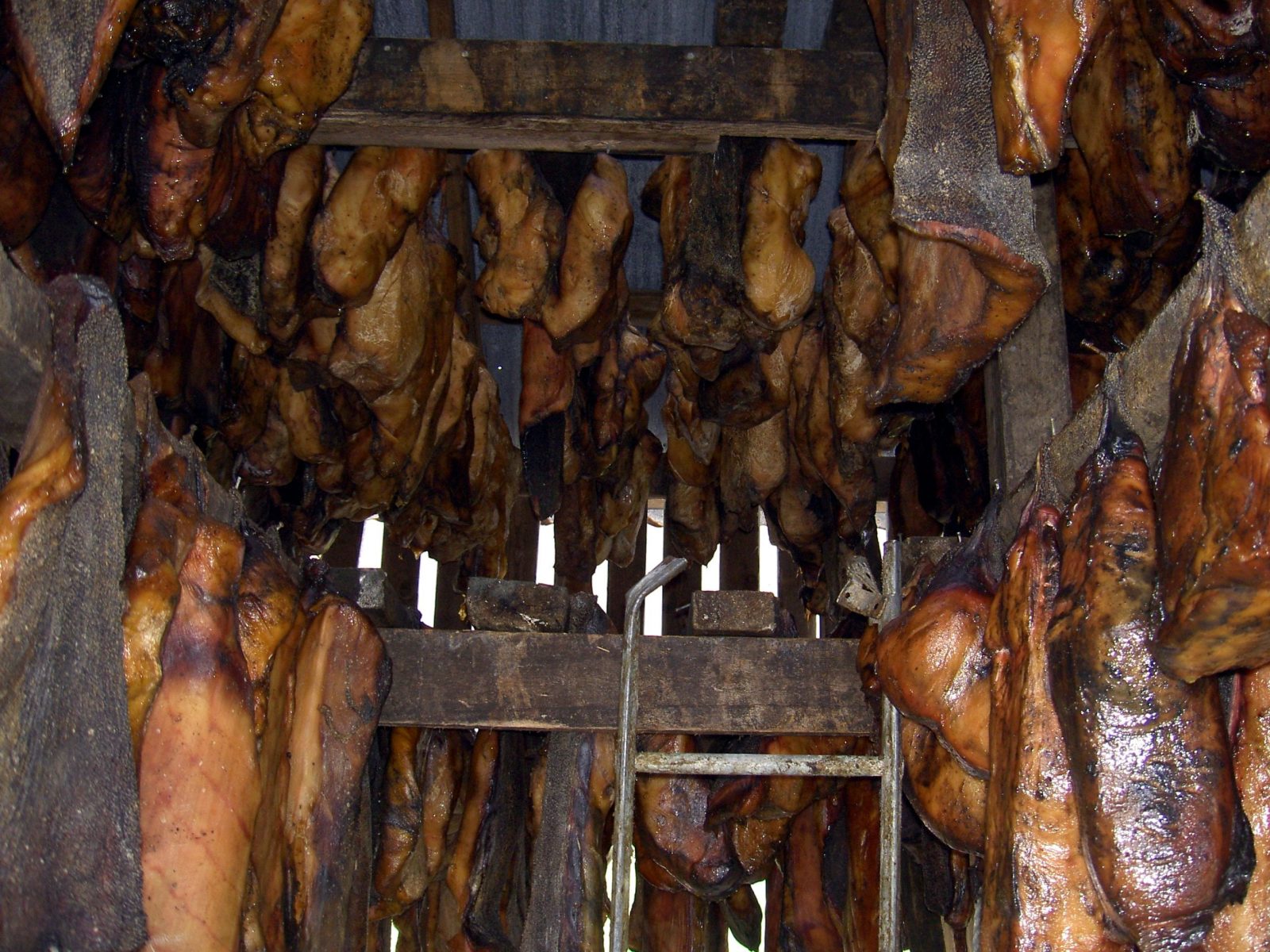 What Are Icelanders Talking About? Veganism, Sharks And Police Brutality