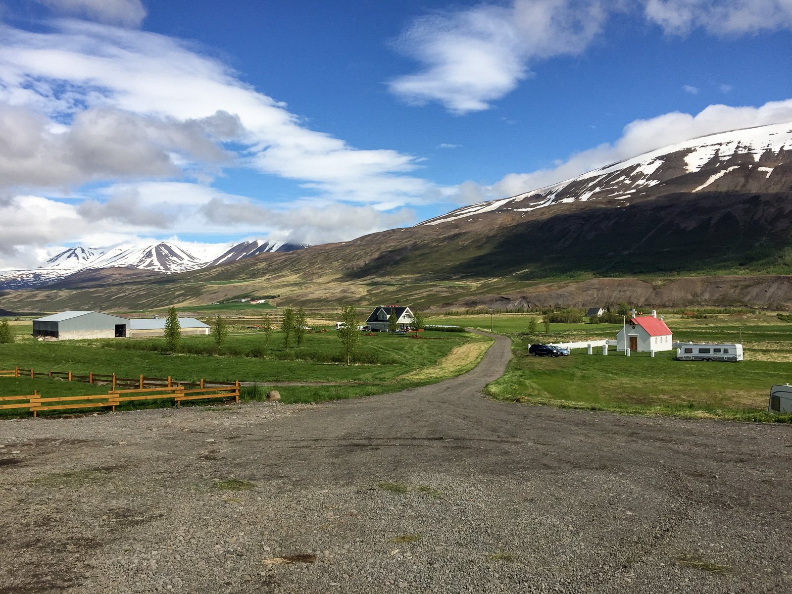 Summer In Mývatn And How I Found Out I Enjoy Bird-Watching