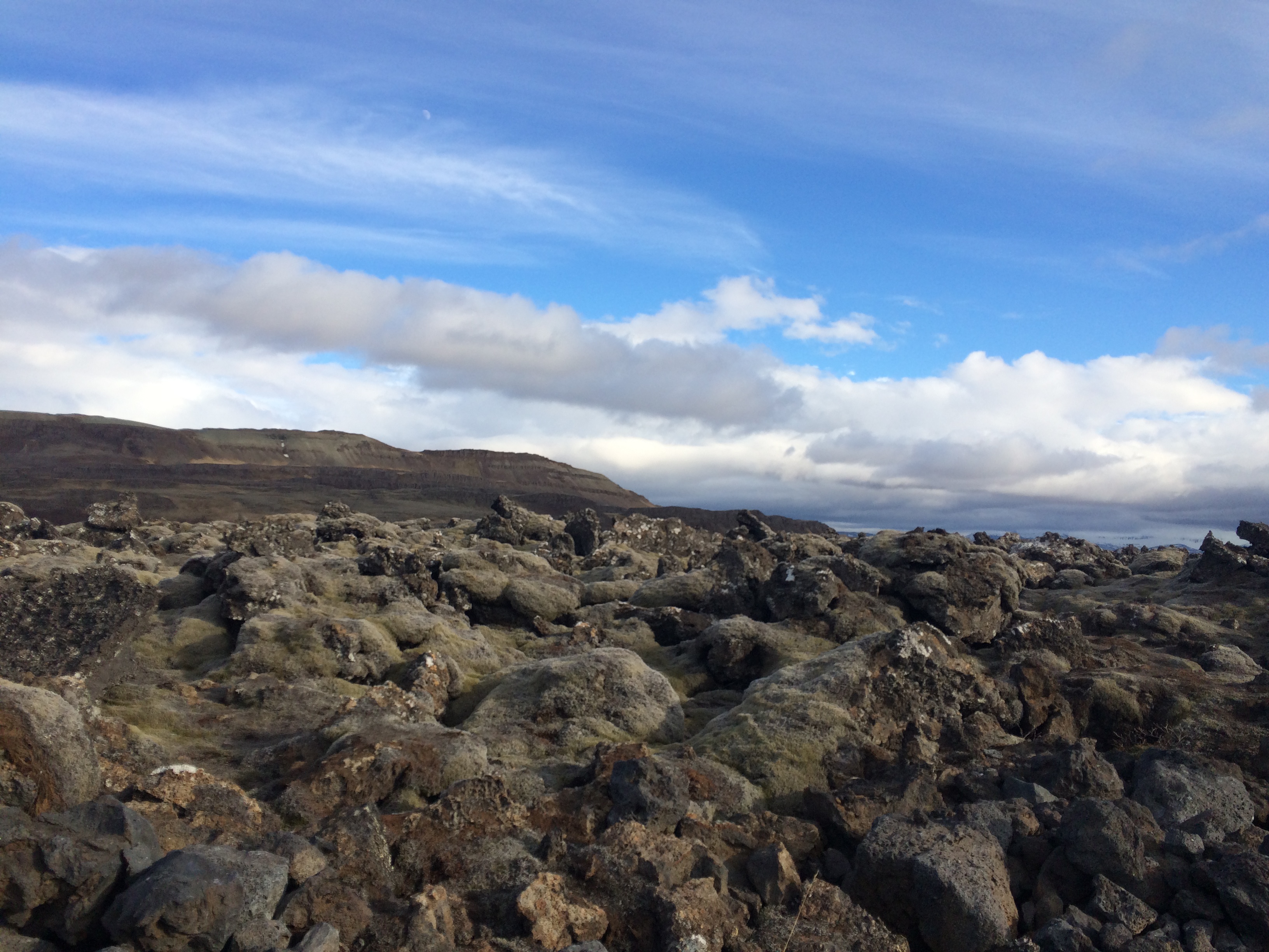 Reykjanes Peninsula: Romping Through Lava Fields