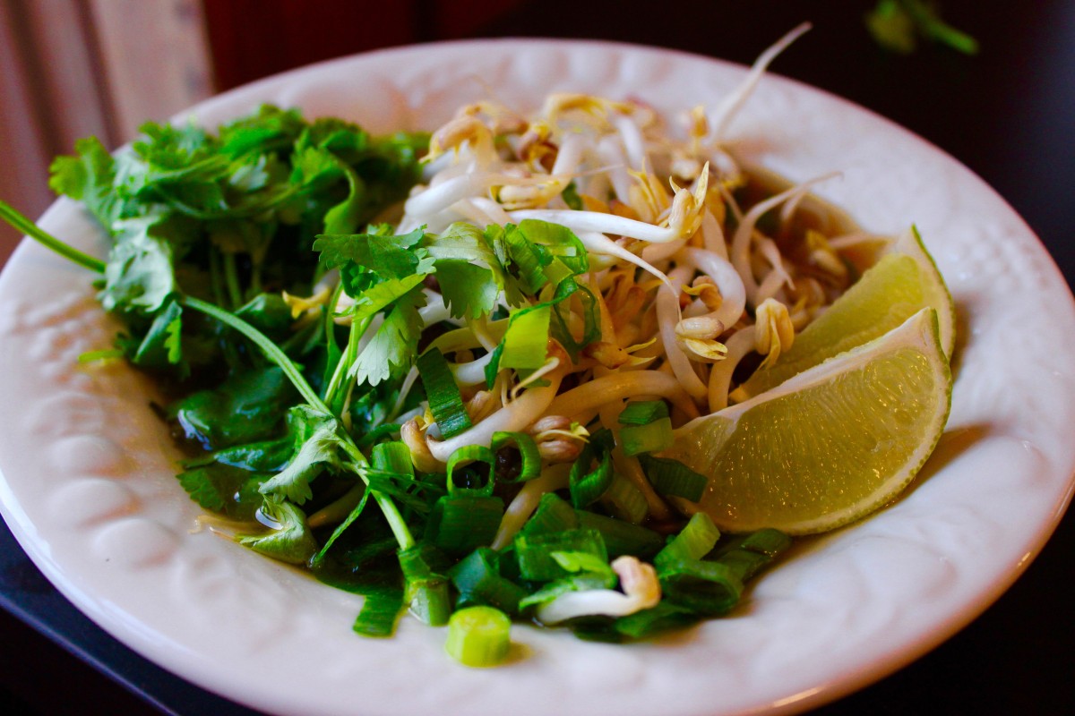 Soup Tuesday: Núðlusúpa, Simple Vietnamese Pho