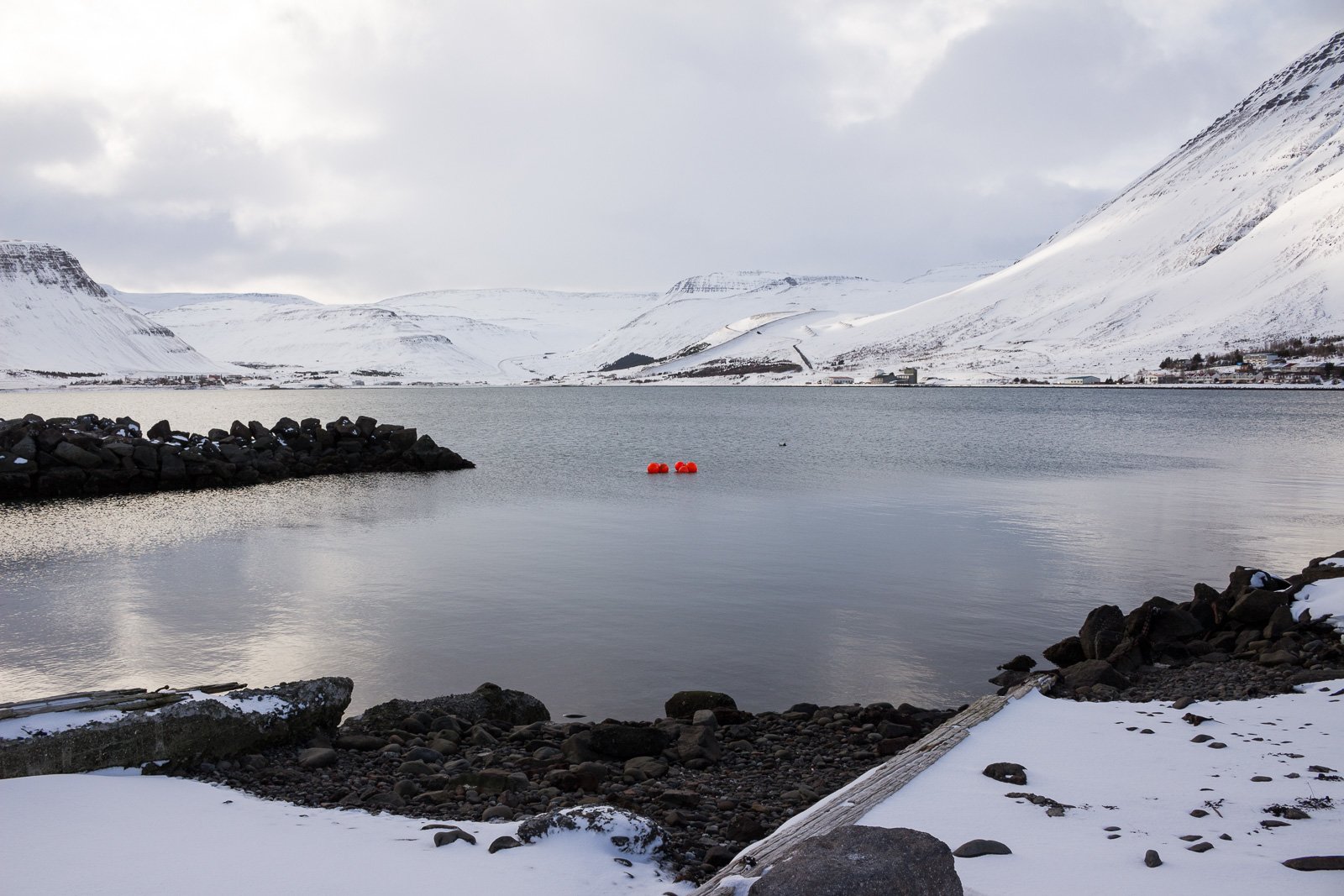 The Wild Westfjords: A Whistle-Stop Tour Of Ísafjörður And Súðavík