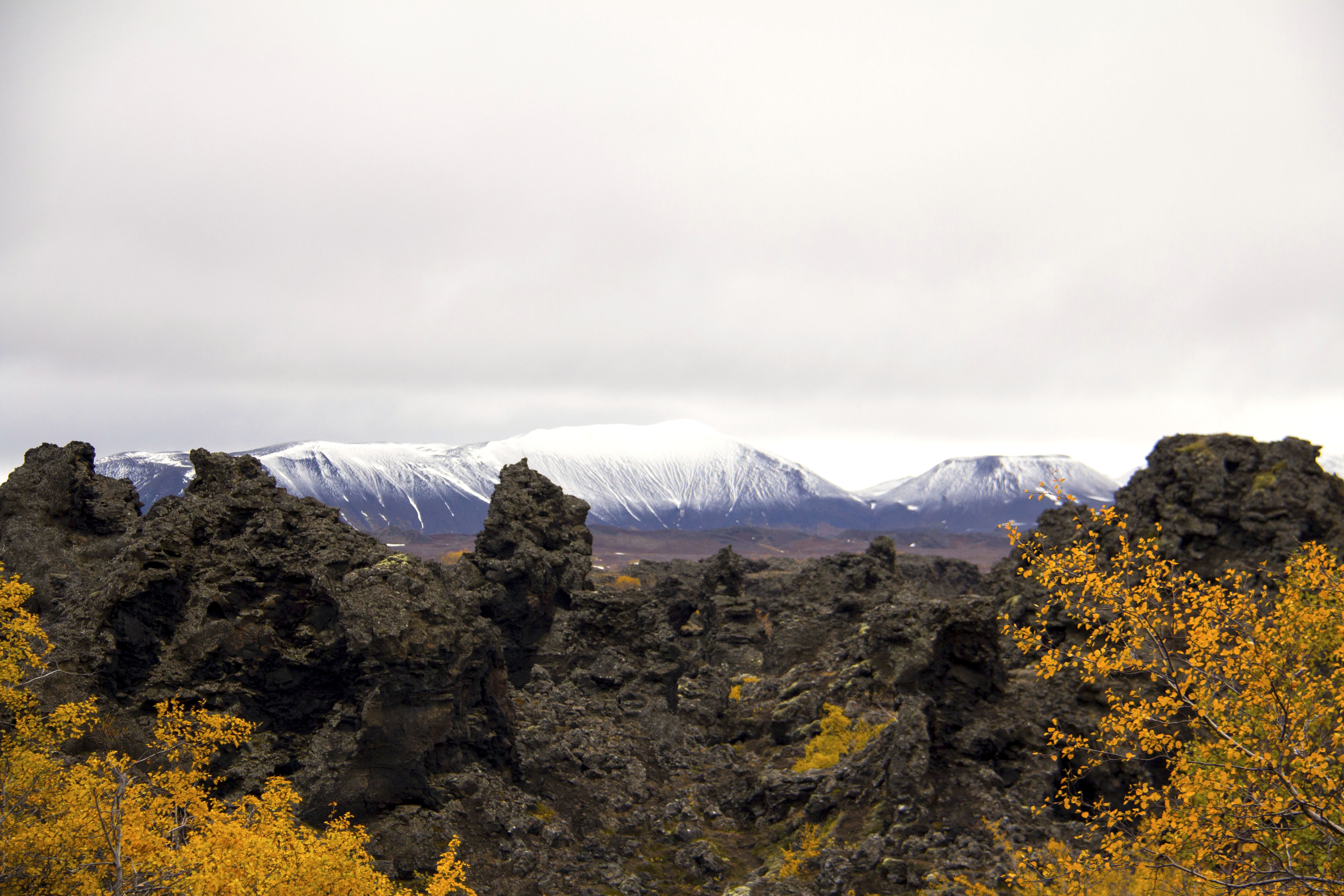 Mývatn (‘For You Americans’ And Other Tourists)
