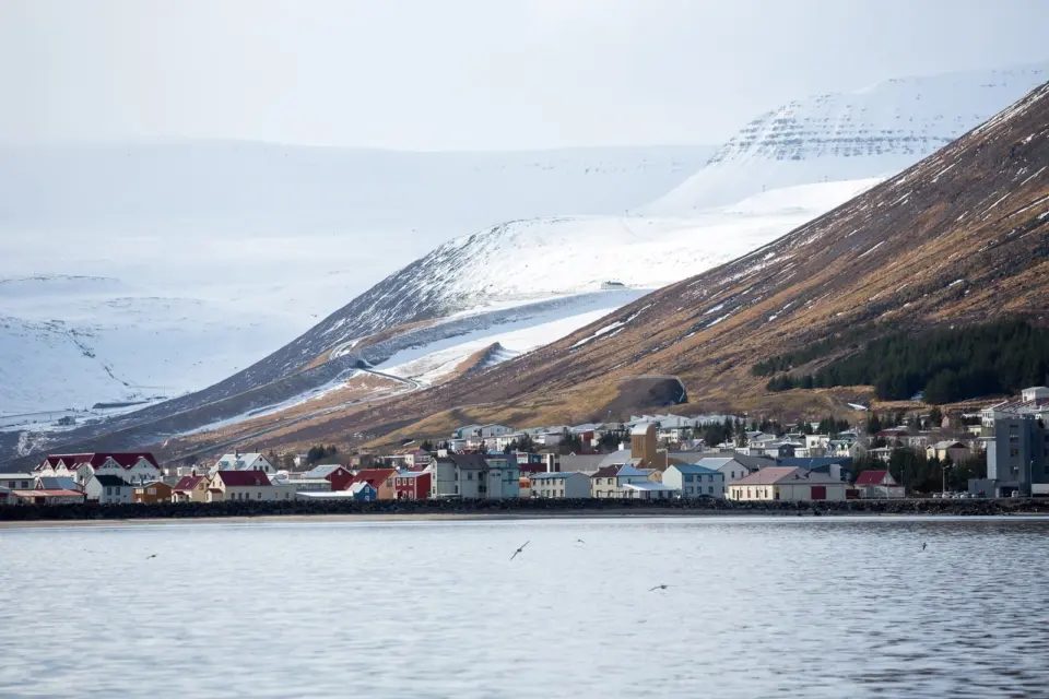 11 Years Since Icelanders Overturned Decree To Kill Foreigners In The Westfjords: Celebrating A Landmark Moment In Icelandic Multiculturalism