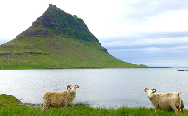 Hiking Ban At Mt. Kirkjufell Might Be Illegal