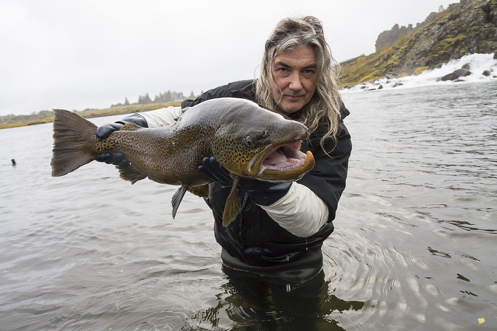 Swimming Upstream: Biologist Jóhannes Sturlaugsson